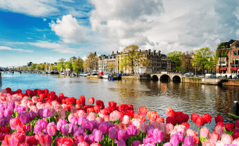 Promo Amsterdam Turu