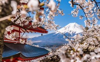 Sakura Dönemi Japonya Güney Kore Turu 5