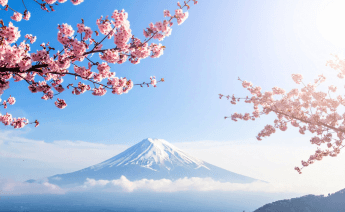 Ramazan Bayramı Japonya Güney Kore Turu 4