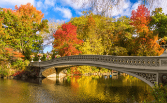 Sonbaharda Kuzey Amerika Şehirleri Turu