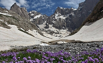 Butik Hakkari Turu