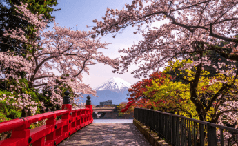 Sakura Dönemi Japonya Güney Kore Turu 11