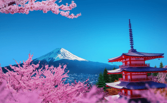 Sakura Dönemi Japonya Güney Kore Turu