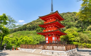 Ramazan Bayramı Japonya Güney Kore Turu