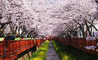 Japonya Kore Turu 3