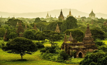 Myanmar Turu