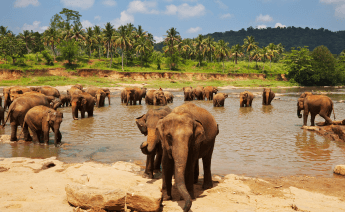 Sri Lanka Maldivler Turu