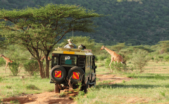 Kenya Tanzanya Safari Zanzibar Turu