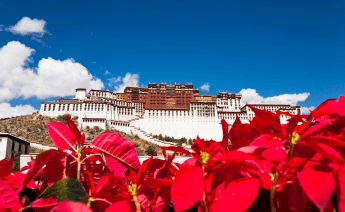 Çin Tibet Yangtze Nehri Turu