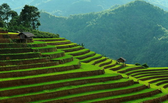 Kurban Bayramı Vietnam Kamboçya Turu